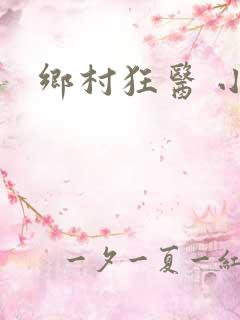 乡村狂医 小说