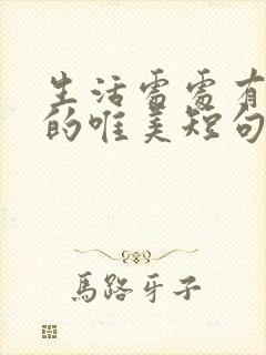 生活处处有惊喜的唯美短句