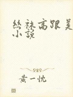 丝袜高跟美熟妇小说