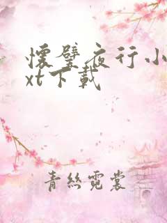 怀璧夜行小说txt下载