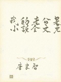 我的老公是大佬小说全文免费阅读