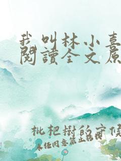 我叫林小喜全文阅读全文原文内容