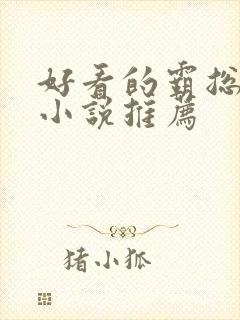 好看的霸总言情小说推荐