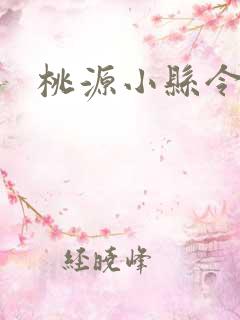 桃源小县令小说