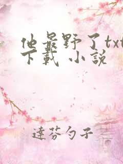 他最野了txt下载 小说