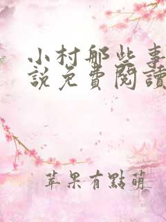小村那些事儿小说免费阅读