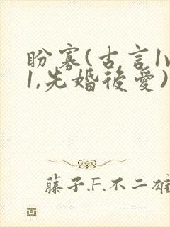 盼寡(古言1v1,先婚后爱)小说免费阅读