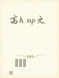 高h np文