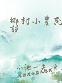 乡村小农民的小说