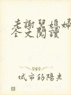 老谢儿媳妇韩雪全文阅读
