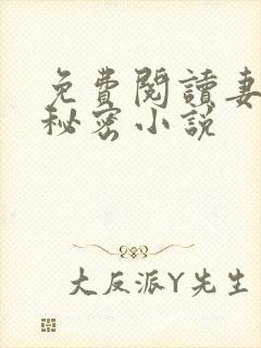 免费阅读妻子的秘密小说