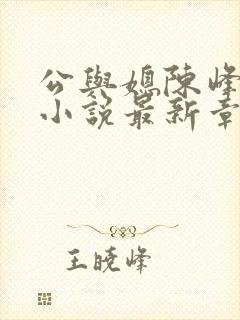 公与媳陈峰姚瑶小说最新章节阅读