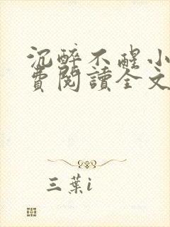 沉醉不醒小说免费阅读全文无弹窗