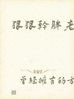 狠狠干胖老太太