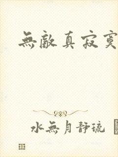 无敌真寂寞