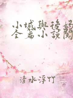 小城与后妈免费全篇小说阅读
