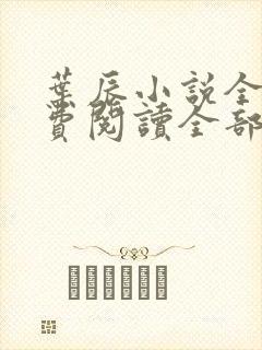 叶辰小说全文免费阅读全部