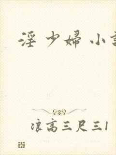 淫 少妇 小说