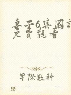妻子6集国语版免费观看