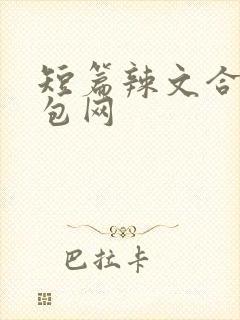 短篇辣文合集书包网