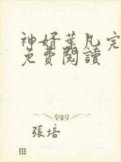 神婿叶凡完整版免费阅读