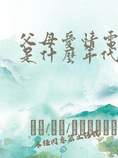 父母爱情电视剧是什么年代