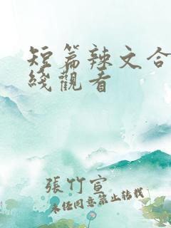 短篇辣文合集在线观看