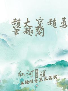 赵大宝赵勇苏媚笔趣阁