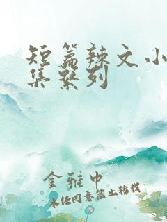短篇辣文小说合集系列