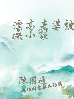 漂亮老婆被别人操小说