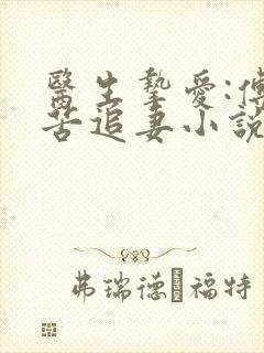 医生挚爱:傅少苦追妻小说