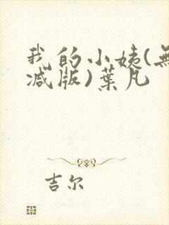 我的小姨(无删减版)叶凡