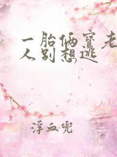 一胎俩宝老婆大人别想逃
