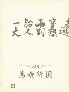 一胎两宝 老婆大人别想逃