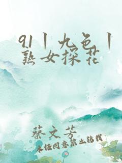 91丨九色丨老熟女探花