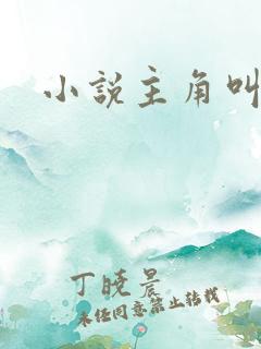 小说主角叫秦峰