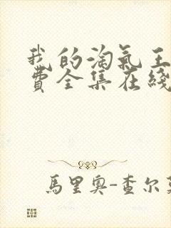 我的淘气王子免费全集在线观看