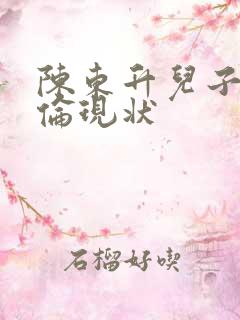 陈东升儿子陈亦伦现状