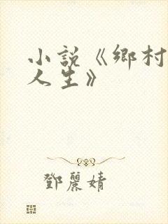 小说《乡村极品人生》