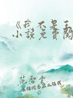 《我不是王妈》小说免费阅读