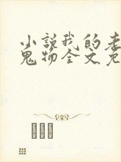 小说我的老公是鬼物全文免费阅读