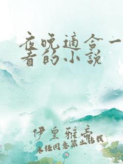 夜晚适合一个人看的小说