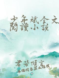 少年斌全文免费阅读小说