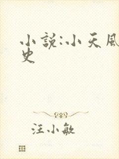 小说:小天风流史