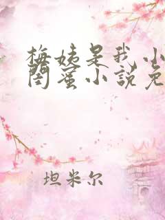 梅姨是我小妈的闺蜜小说免费阅读全文