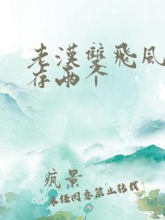 老汉双飞风韵犹存两个