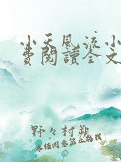 小天风流小说免费阅读全文最新章节