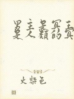 男主是冥王女主是人类的冥婚小说