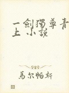 一剑独尊青鸾峰上 小说