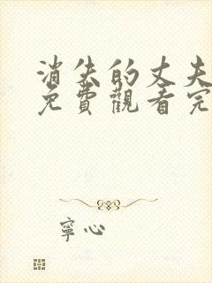 消失的丈夫短剧免费观看完整版高清